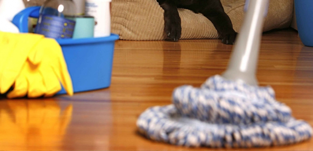  Adana Periyodik Genel Temizlik Hizmeti 